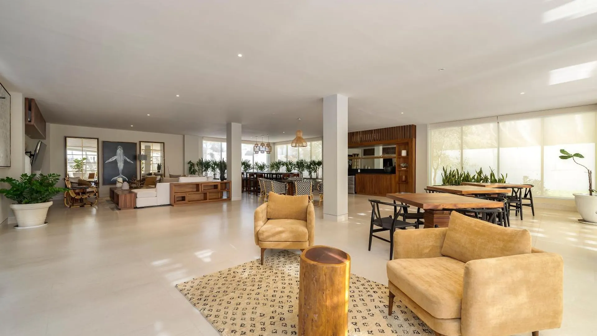 Luxury Beachfront Apartment In Cabo カボ・サン・ルーカス 0*,  メキシコ